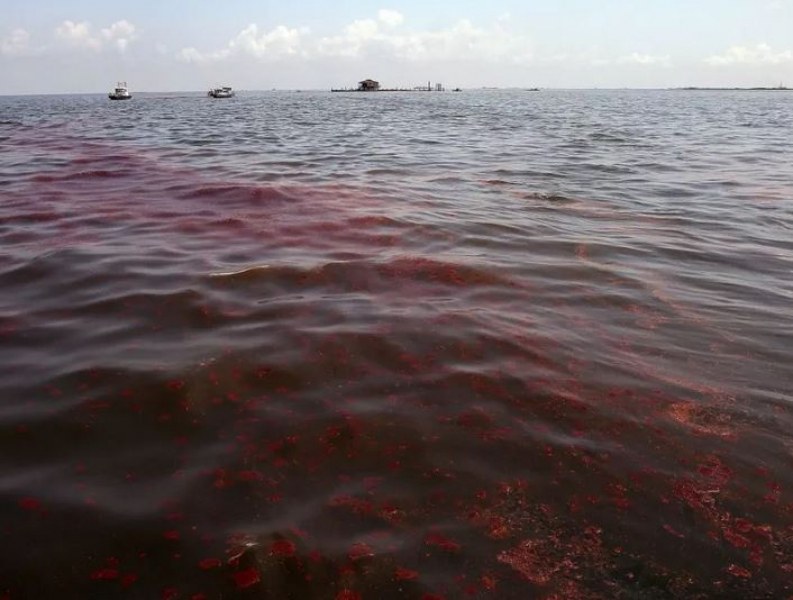Разлив на петрол и химикали в пристанище, обявиха извънредно положение