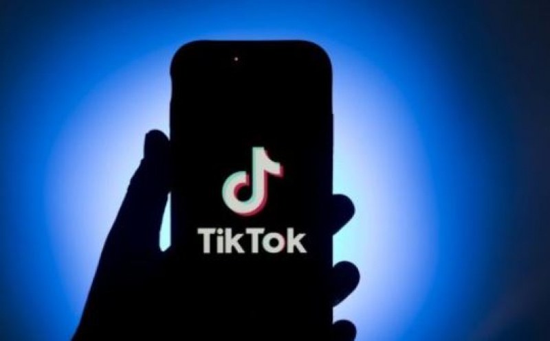 Забраниха TikTok и за шведските военни