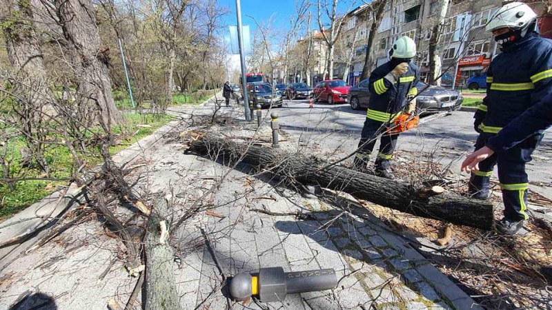 Разчистването на Пловдив от последствията от силния ураганен вятър продължава