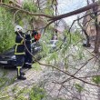 Тежък ден за пловдивската пожарна, силният вятър продължава и утре  СНИМКИ