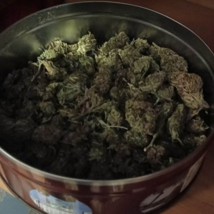 Откриха наркотични вещества в Пловдив Близо 3 кг марихуана и различни