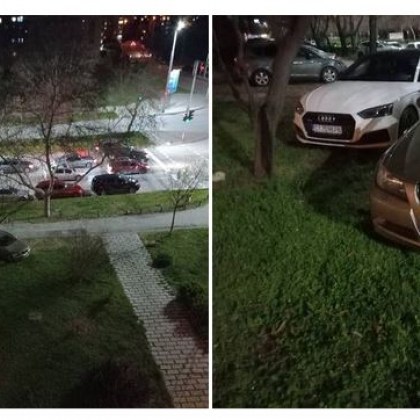 Лъскави автомобили паркирали в тревните площи раздразниха пловдивчани Паркирането в