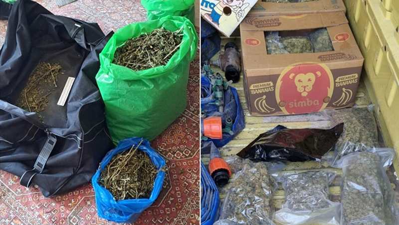Неутрализираха група, занимавала се с разпространение на наркотици СНИМКИ