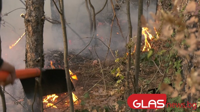 Пожар в горски масив между Стрелча и Копривщица. По първоначални