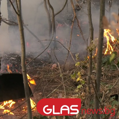 Пожар в горски масив между Стрелча и Копривщица По първоначални