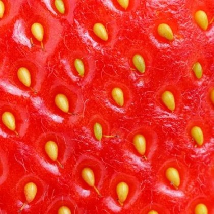 Всички знаем простите правила според които ягодите и другите горски