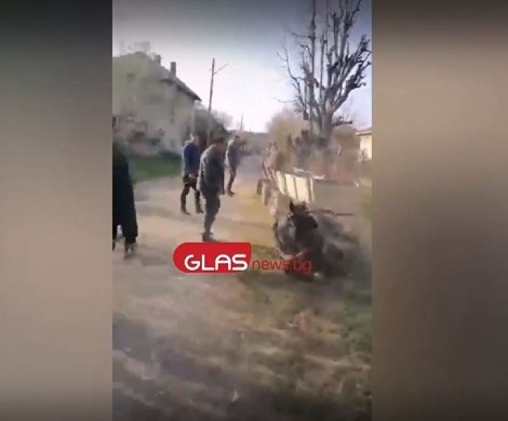 Роми измъчват коне! Бият ги, за да видят кой е по-силен ВИДЕО 18+