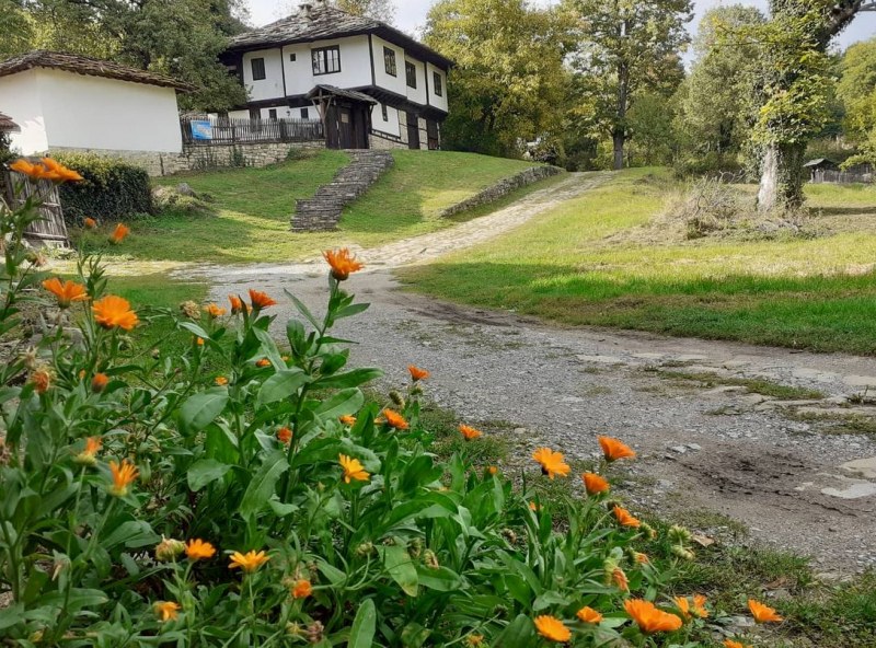 Сред красивата природа на Габровските възвишения се крие село Боженци.