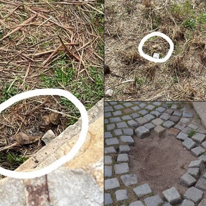 Изкарват павета от мост и целят видри