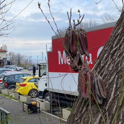 На неочаквана находка се натъкна мъж който се разхождал по