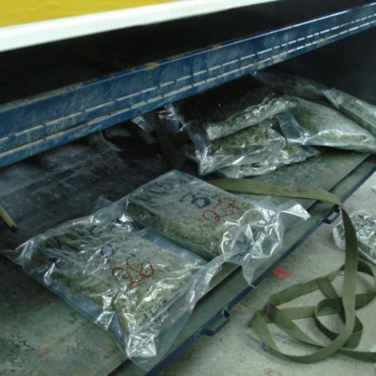 106 килограма марихуана са били засечен на ферибота в Оряхово