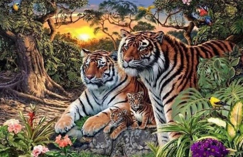 На снимката има 16 тигъра, колко от тях ще намерите за 30 секунди?