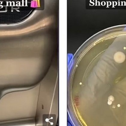 Обществените тоалетни крият много мръсни тайни от микроби и бактерии