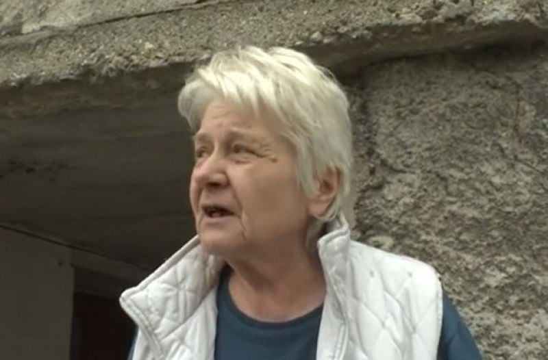 70-годишна жена от Пазарджик стреля по бездомни кучета, но погрешка