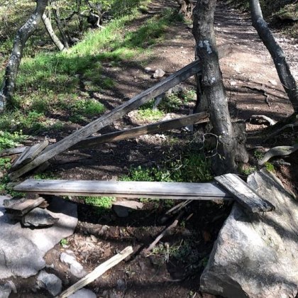 За притеснителна но и озадачаваща случка сподели жена в социалните