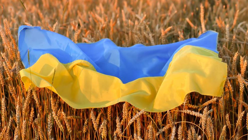 България обмисля забрана за внос на украинско зърно