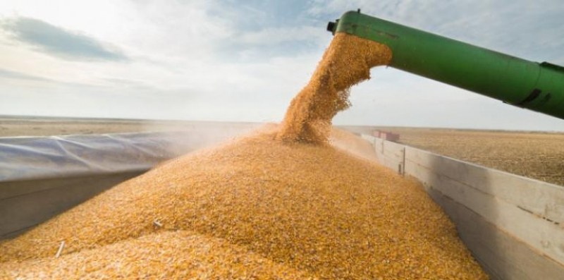 България временно забрани вноса на украински стоки, сред които зърно,