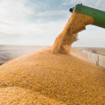 България временно забрани вноса на украински стоки сред които зърно