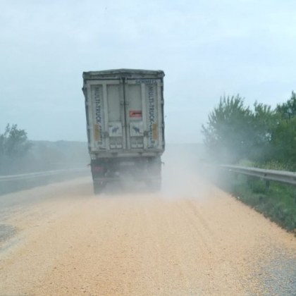 Камион превозващ зърно разпиля товара си Мястото е на пътя