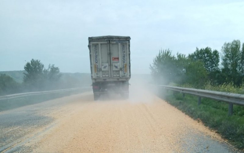 Камион, превозващ зърно, разпиля товара си. Мястото е на пътя