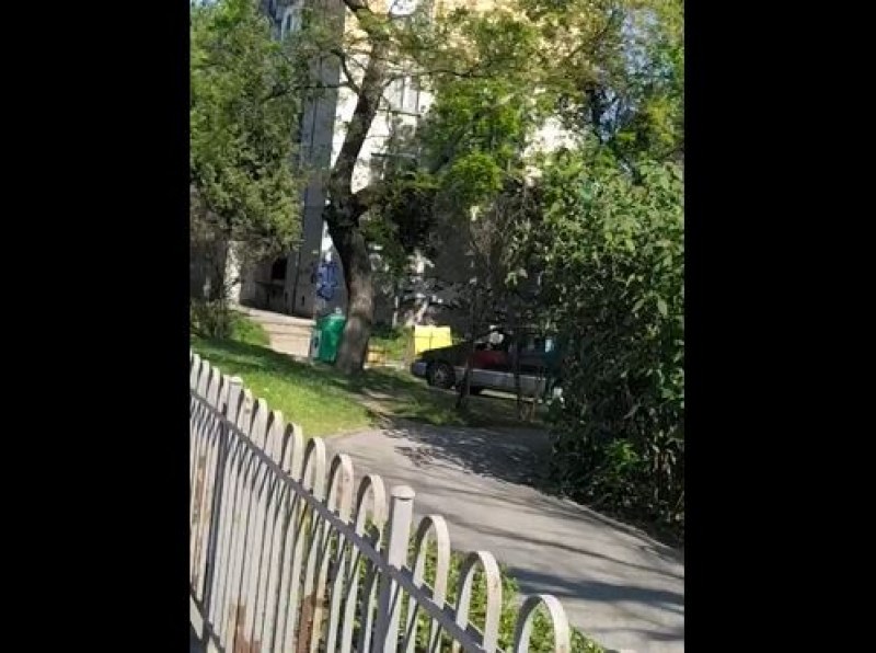 Шофьор мина през парк в Пловдив с кола, нормално ли е? СНИМКИ