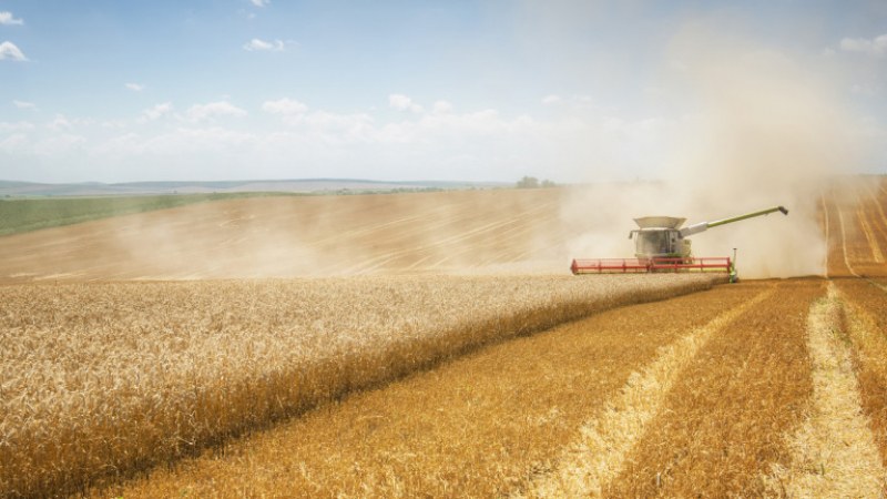 ЕК забрани вноса на зърнени продукти от Украйна в България