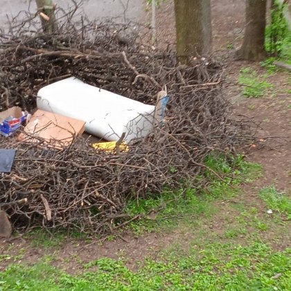 Странно гнездо се появи в тревна площ София Уютната стая