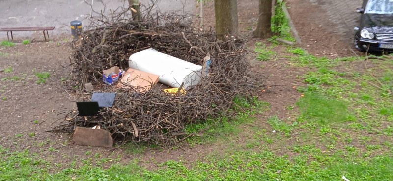 Странно гнездо се появи в тревна площ София. Уютната стая
