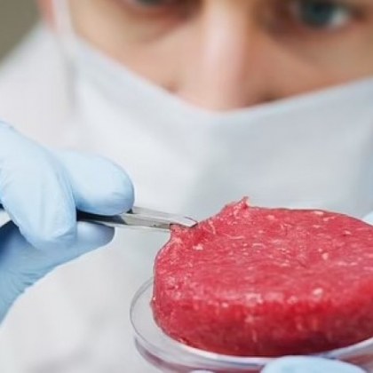 През последните няколко години учените успяха да отгледат мляно месо