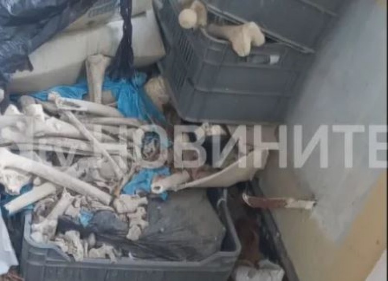 Откриха купища кости в центъра на наш град, разкриха причината ВИДЕО