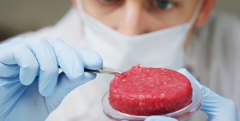Защо отгледаното в лаборатория месо е по-лошо от истинското