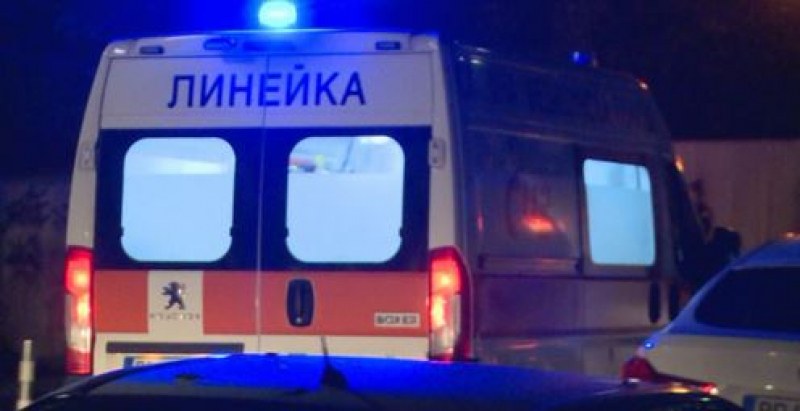 Деца и жена пострадаха в катастрофа