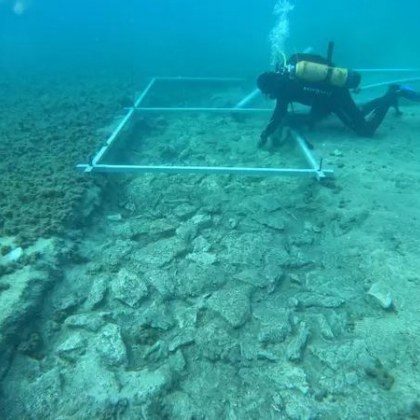 Археолози откриха праисторическа магистрала на дъното на Адриатическо море край