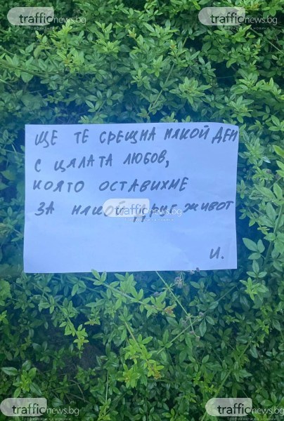 Бележка с трогателно послание се появи в пловдвски парк