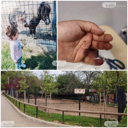 Пони отхапа пръстите на жена в старозагорския зоопарк Инцидентът е