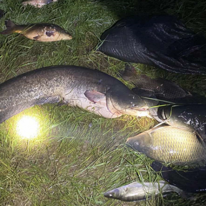 Двама бракониери са задържани с близо 100 кг риба край язовир Огоста