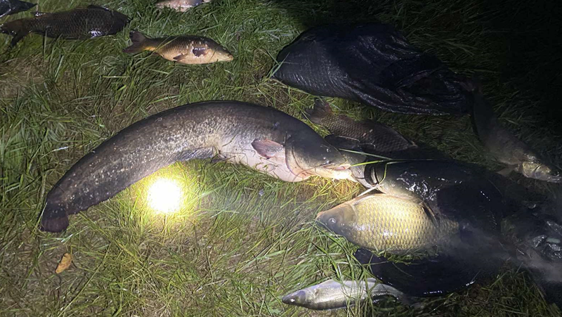 Двама бракониери са задържани с близо 100 кг риба край язовир Огоста“