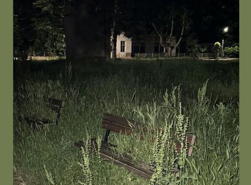 Избуяла трева втрещи мъж в село Войнягово. Ако се съди