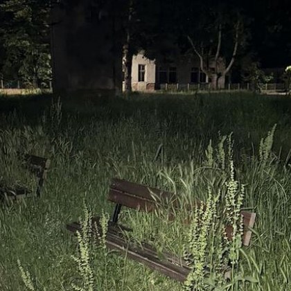 Има ли тигри в Карловско?