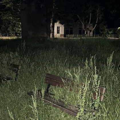 Избуяла трева втрещи мъж в село Войнягово Ако се съди