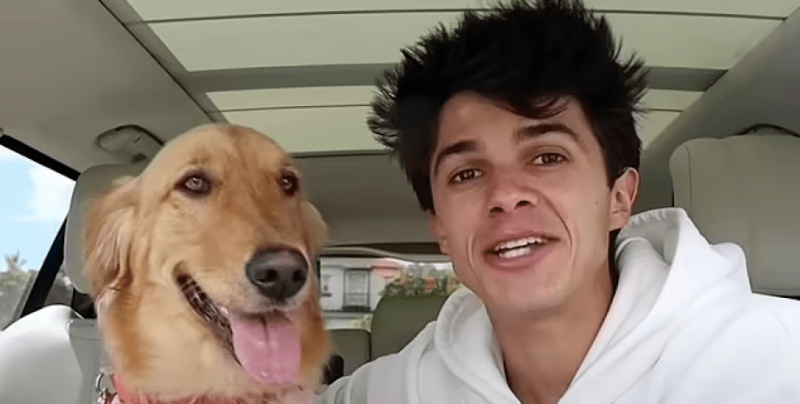 Американец похарчи $20 000 за къща на кучето си: как изглежда отвътре ВИДЕО