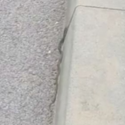 Граждани се натъкнаха на змия в още един наш град