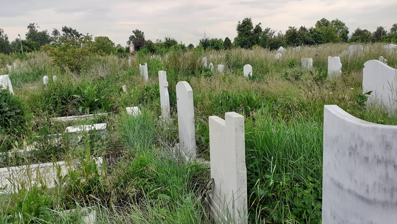 Гробищният парк Малашевци (Малашевски гробища) тънe в трева.Хората се оплакват, че