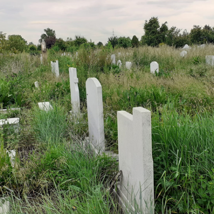 Гробищният парк Малашевци Малашевски гробища  тънe в трева Хората се оплакват че