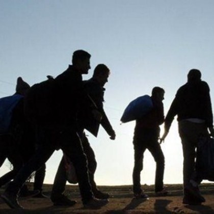 Гръцката полиция е арестувала петима гръцки гранични полицаи заради предполагаемо участие