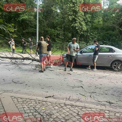 Дърво се сгромоляса над автомобил до Гребната база в Пловдив СНИМКИ