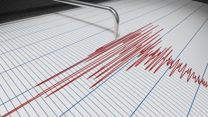 Земетресение с магнитуд 6,2 удари островите Оклънд – вулканичен архипелаг