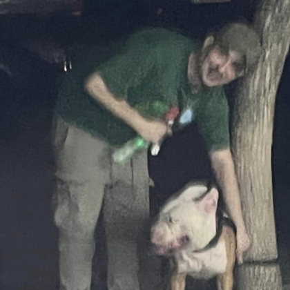 Мъж насъсква путбула си срещу други кучета в пловдивския квартал