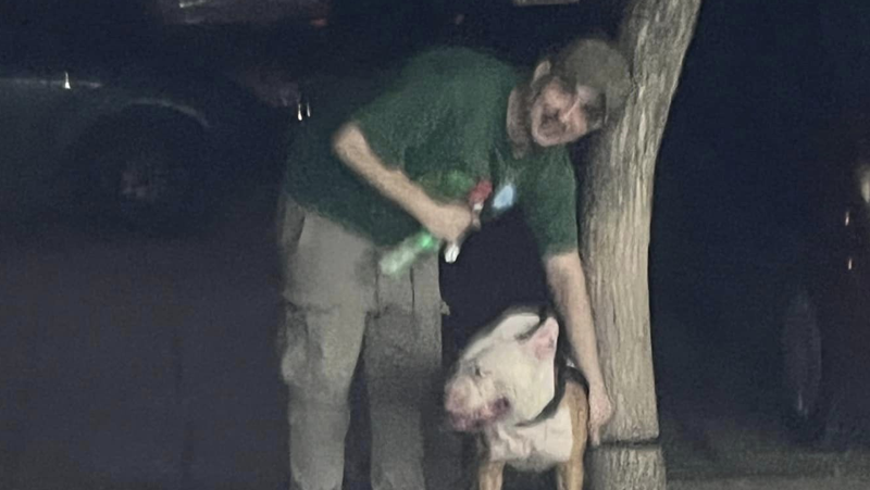 Пловдивчани са бесни! Мъж насъсква питбула си срещу други кучета СНИМКИ