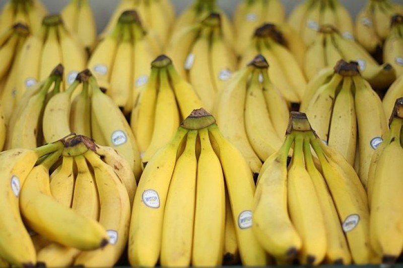 Гръцката полиция откри 160 кг кокаин в контейнери с банани